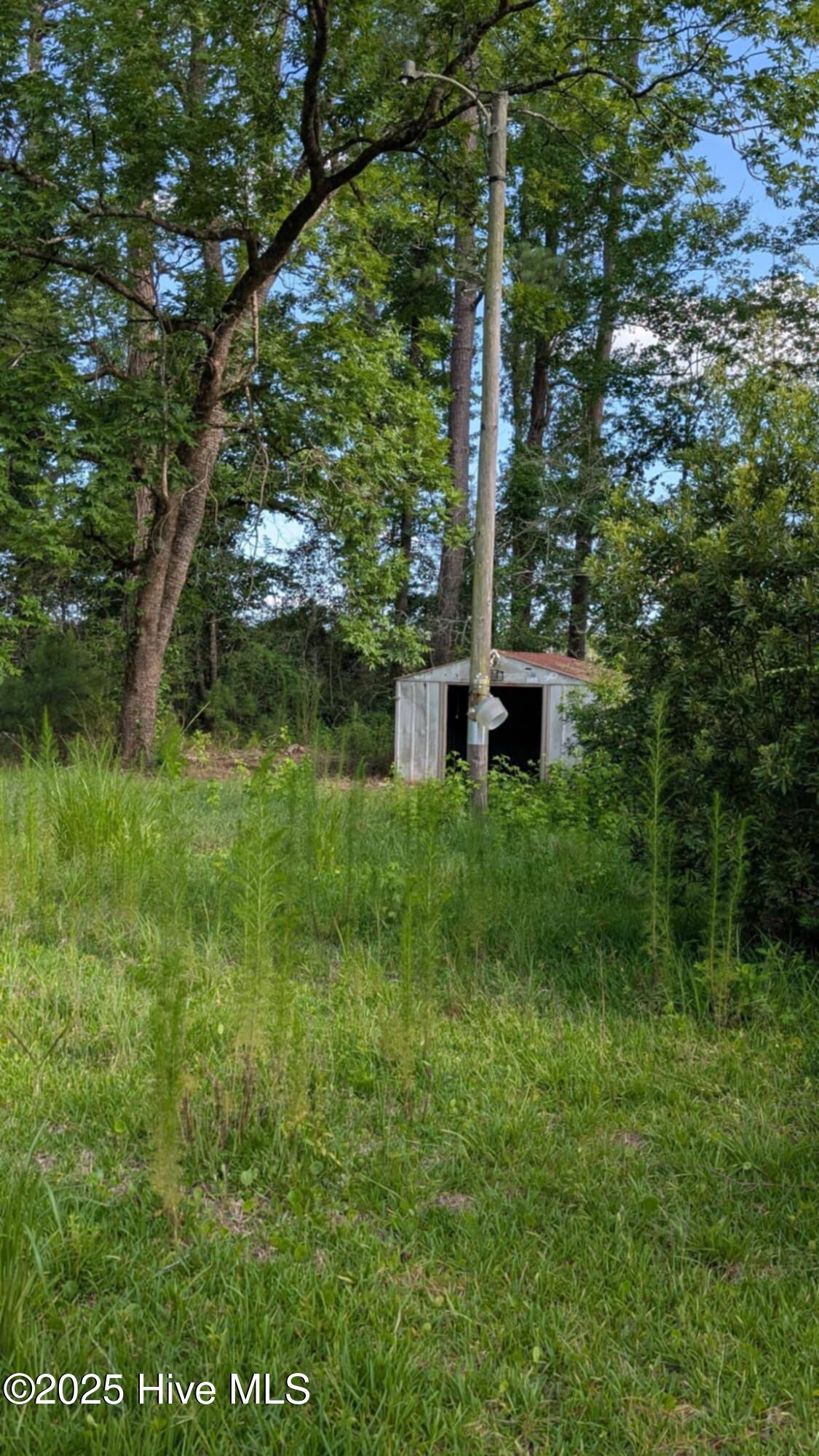 425 Barney Tyler Road Hallsboro, NC 28442 - Photo 9 of 25 IMG_1622