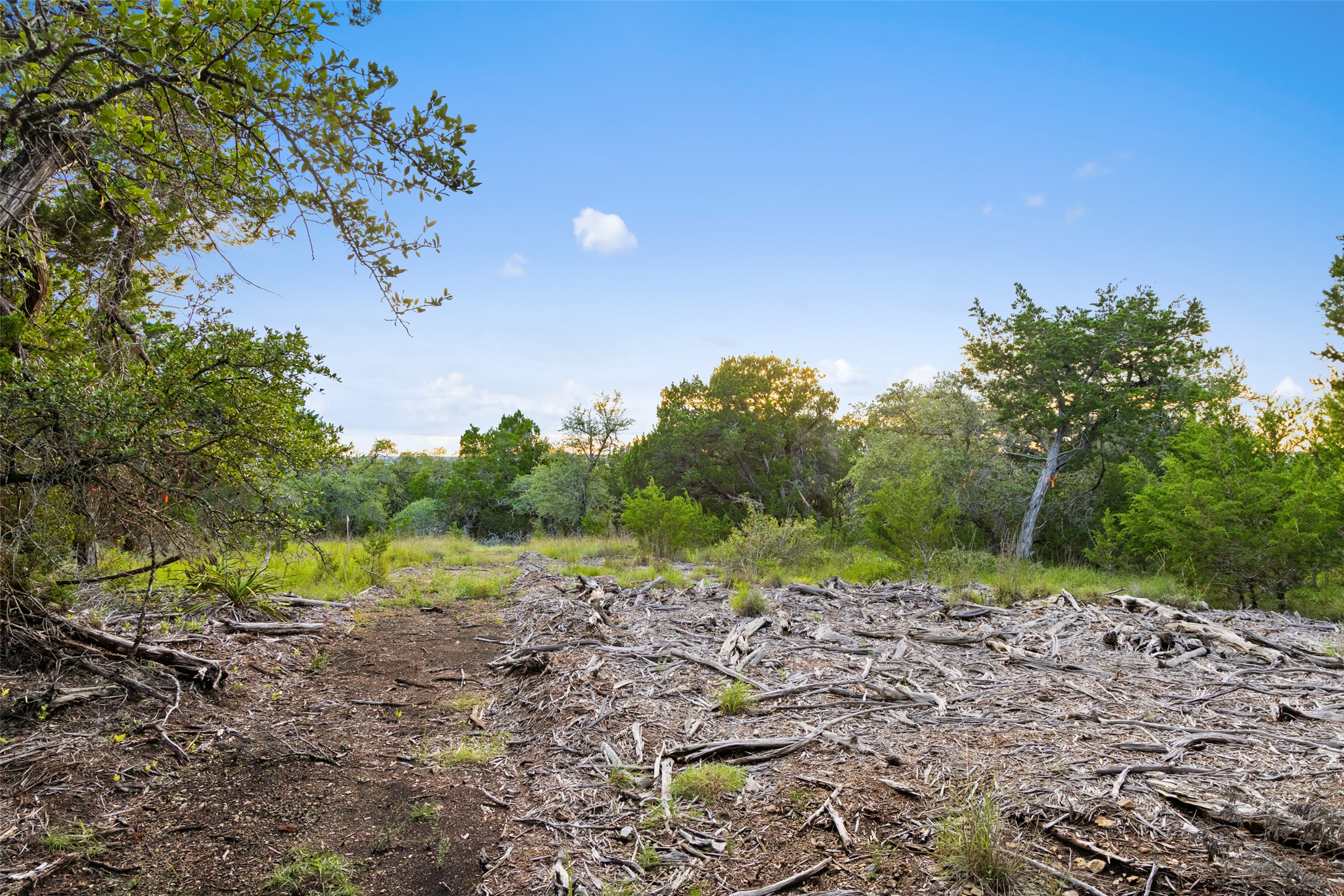 31890 Mirela Ann Road Dripping Springs, TX 78620 - Photo 4 of 13 This lot has beautiful views from the build site!