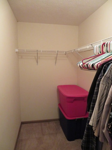 410 Merrill Road Braceville, IL 60407 - Photo 15 of 19 Gallery Image 15