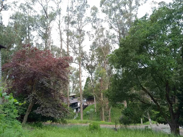 $599,000 | 1375 Queens Road, Berkeley, CA 94708