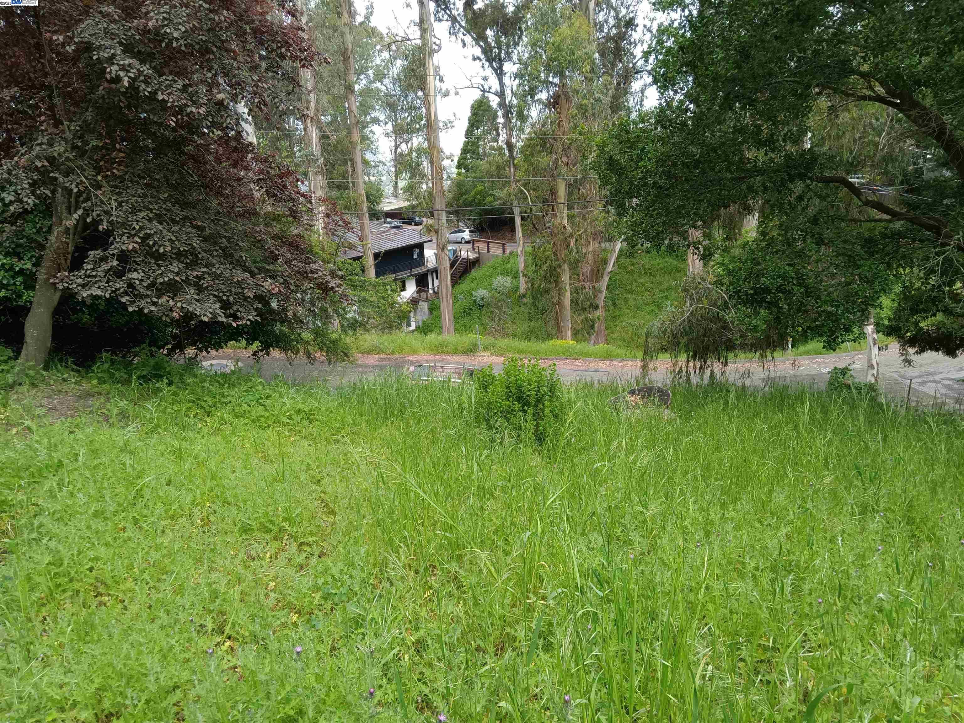 1375 Queens Road Berkeley, CA 94708 - Photo 8 of 12