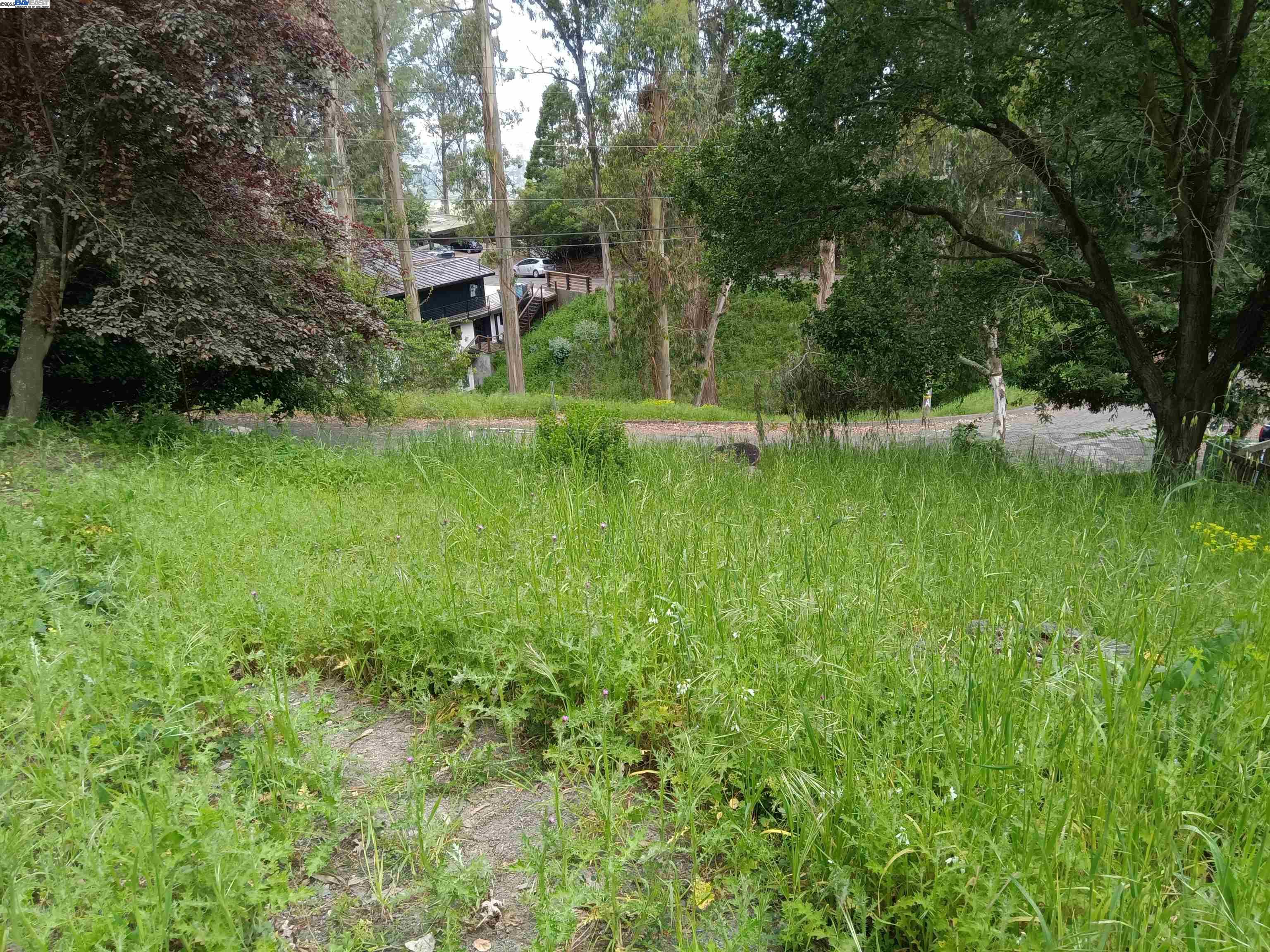 1375 Queens Road Berkeley, CA 94708 - Photo 9 of 12