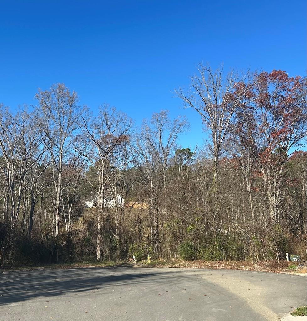 0 West Ridge Drive Dalton, GA 30721 - Photo 1 of 3 Main View