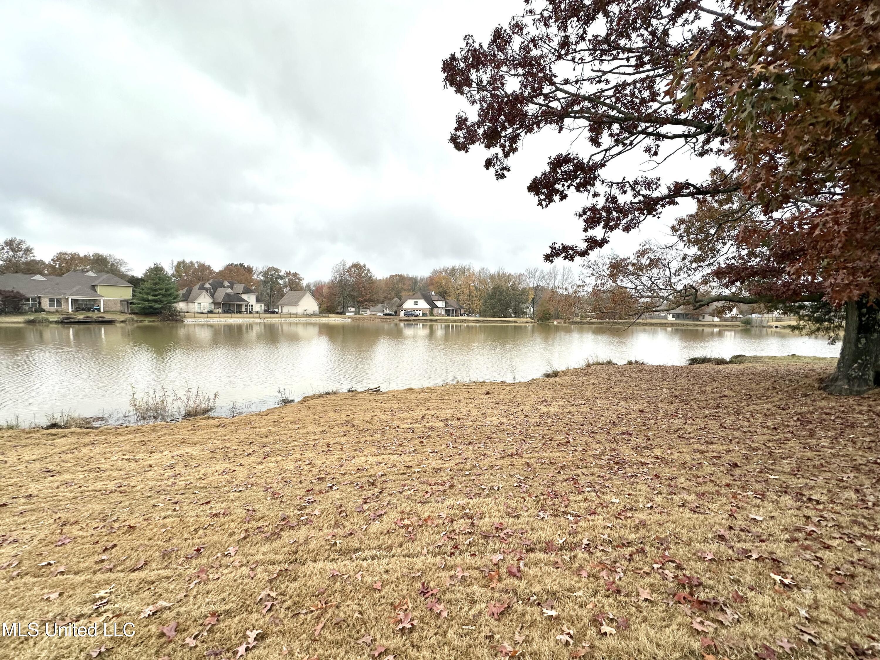 3719 Roland Drive Southaven, MS 38672 - Photo 26 of 27 IMG_4277