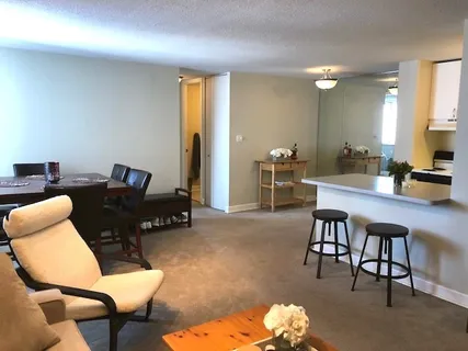 $305,000 | 1339 North Dearborn Street, Unit 11D, Chicago, IL 60610