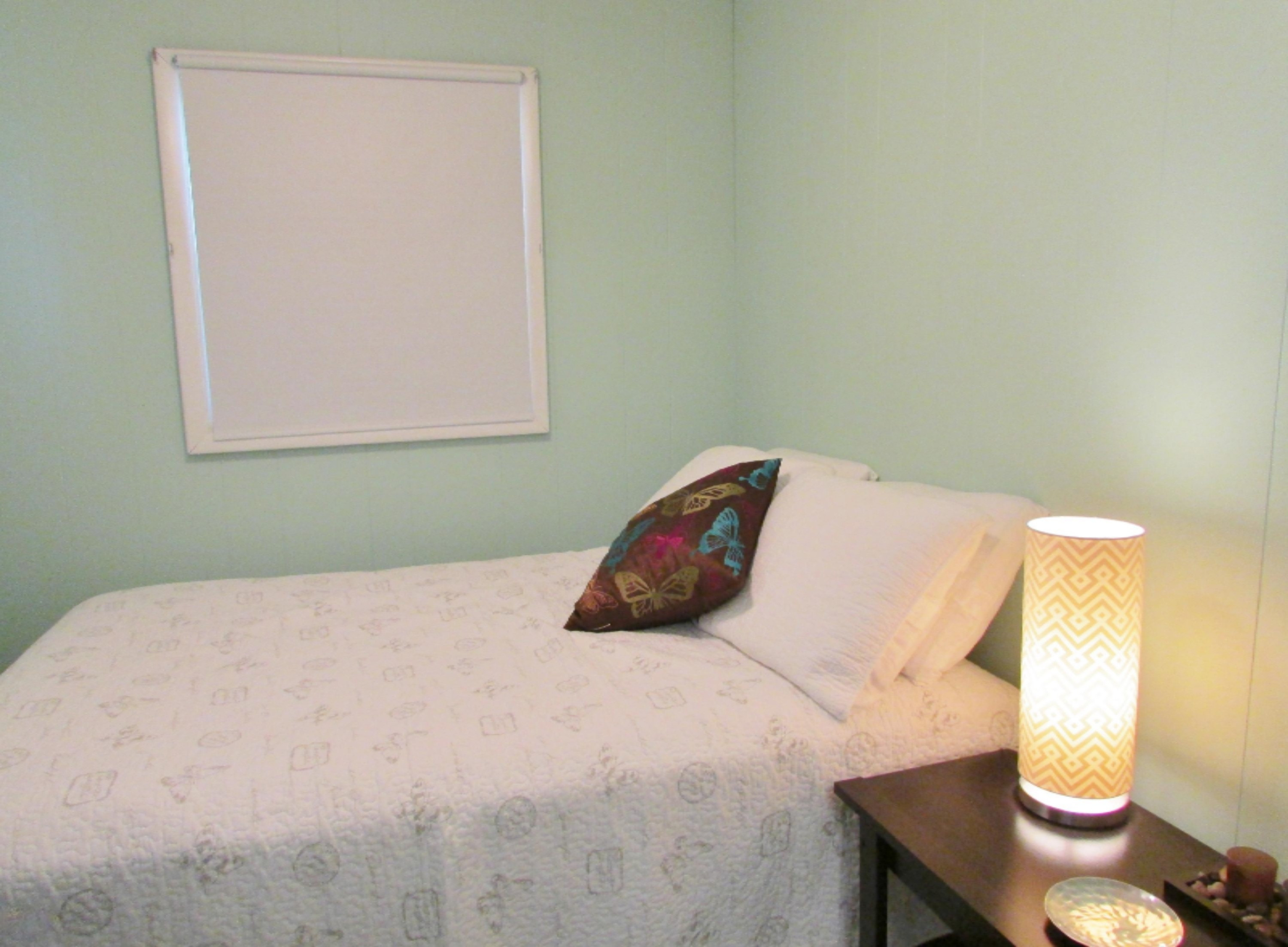 456 Iyopawa Road Coldwater, MI 49036 - Photo 12 of 22 IMG_2847