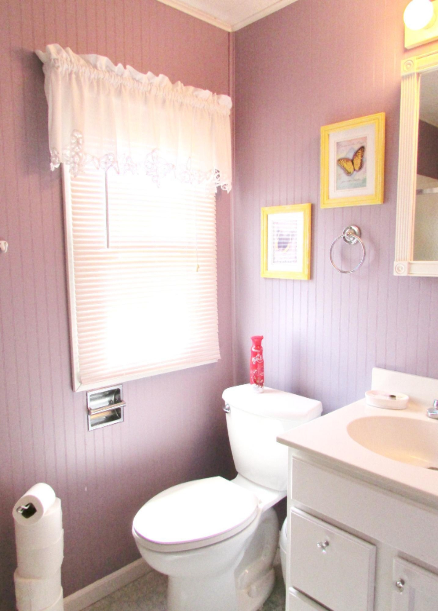 456 Iyopawa Road Coldwater, MI 49036 - Photo 10 of 22 IMG_2852