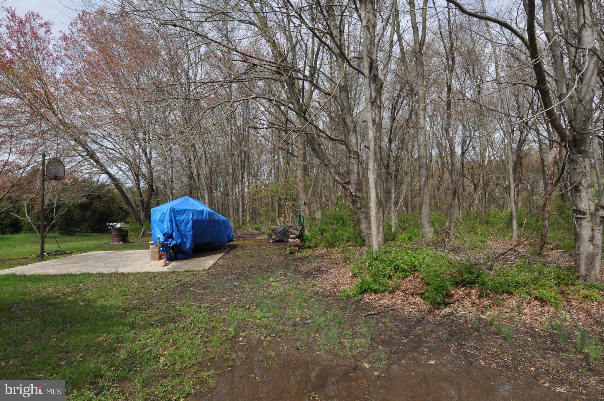 40 Hogback Road Chesterfield, NJ 08515 - Photo 43 of 50