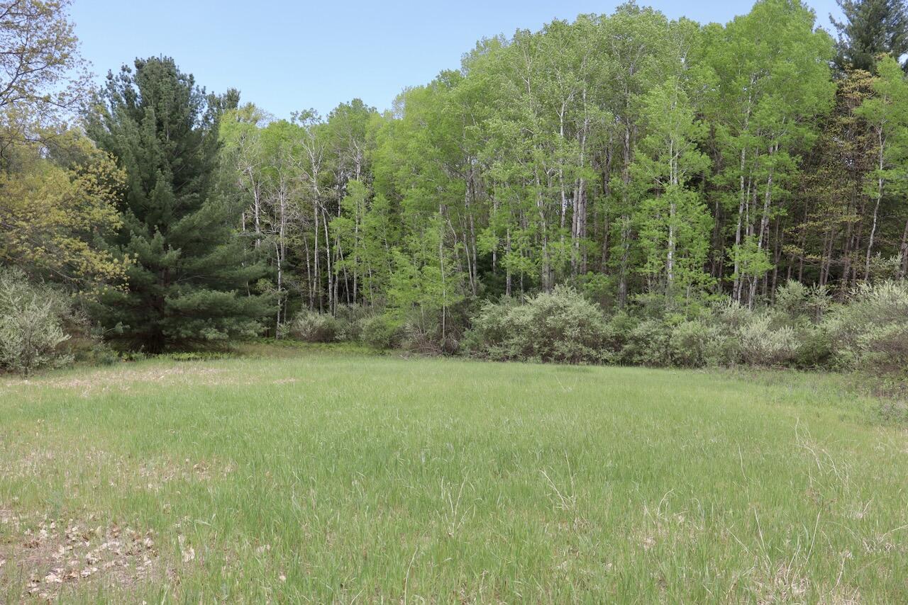6153 South Branch Road Branch, MI 49402 - Photo 20 of 70 19