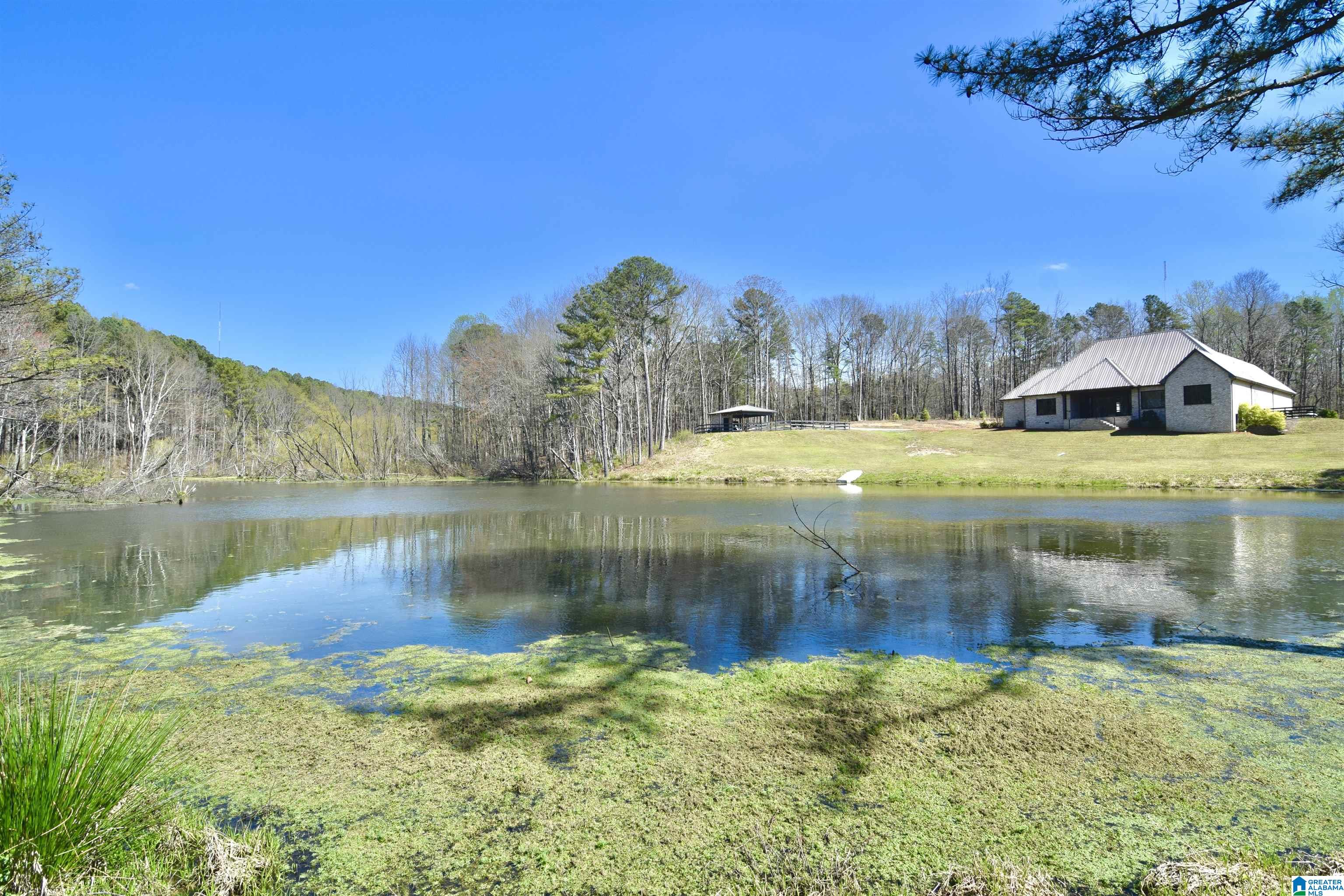 544 Prophecy Lane Springville, AL 35146 - Photo 40 of 47