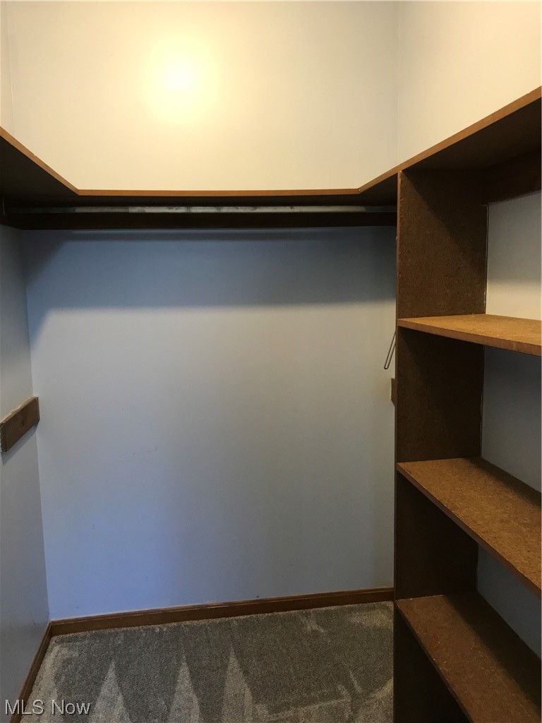 1610 Schroeder Road Mogadore, OH 44260 - Photo 12 of 46 Walk in closet featuring carpet flooring in the 2nd bedroom