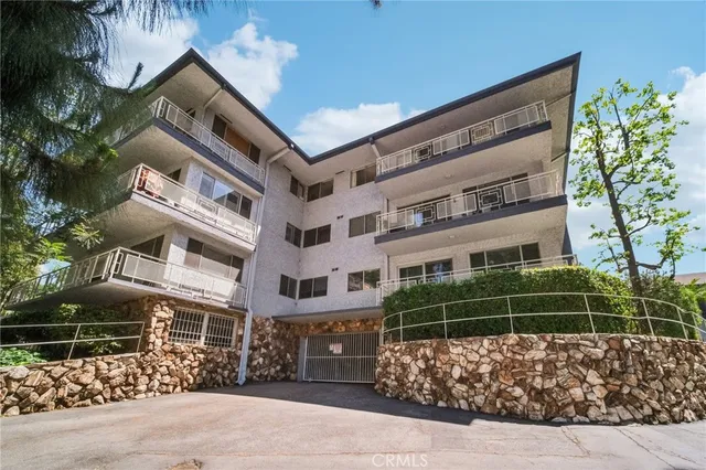 a tall tree in middle of the garden