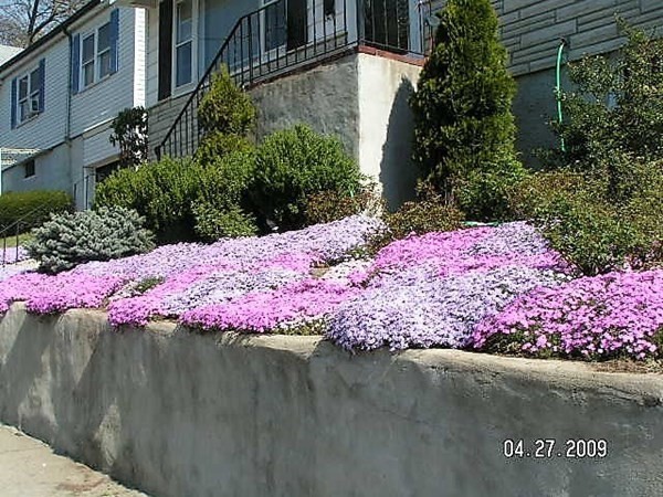 351 Corey Street Boston, MA 02132 - Photo 2 of 30 Gallery Image 2