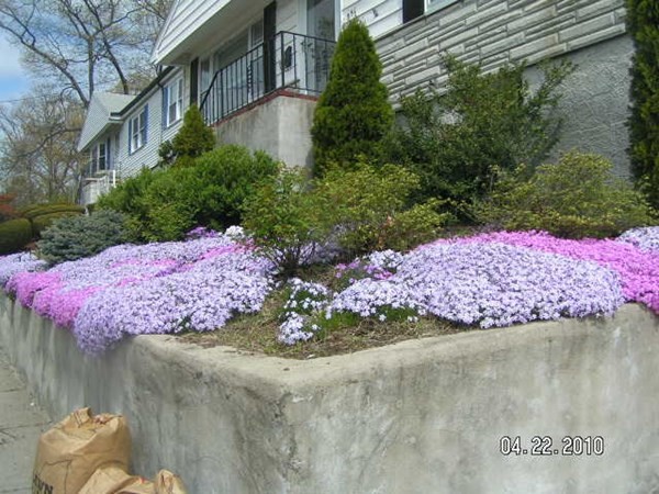 351 Corey Street Boston, MA 02132 - Photo 30 of 30 Gallery Image 30