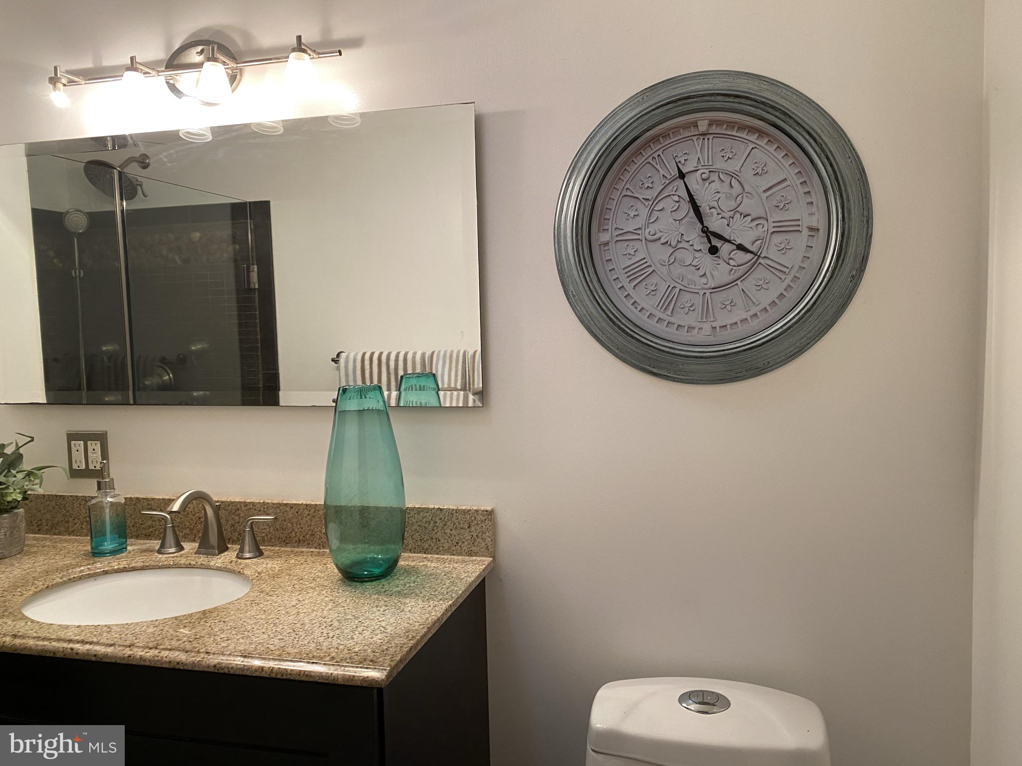 38 Severndale Road Severna Park, MD 21146 - Photo 12 of 20 Main bath has heated flooring