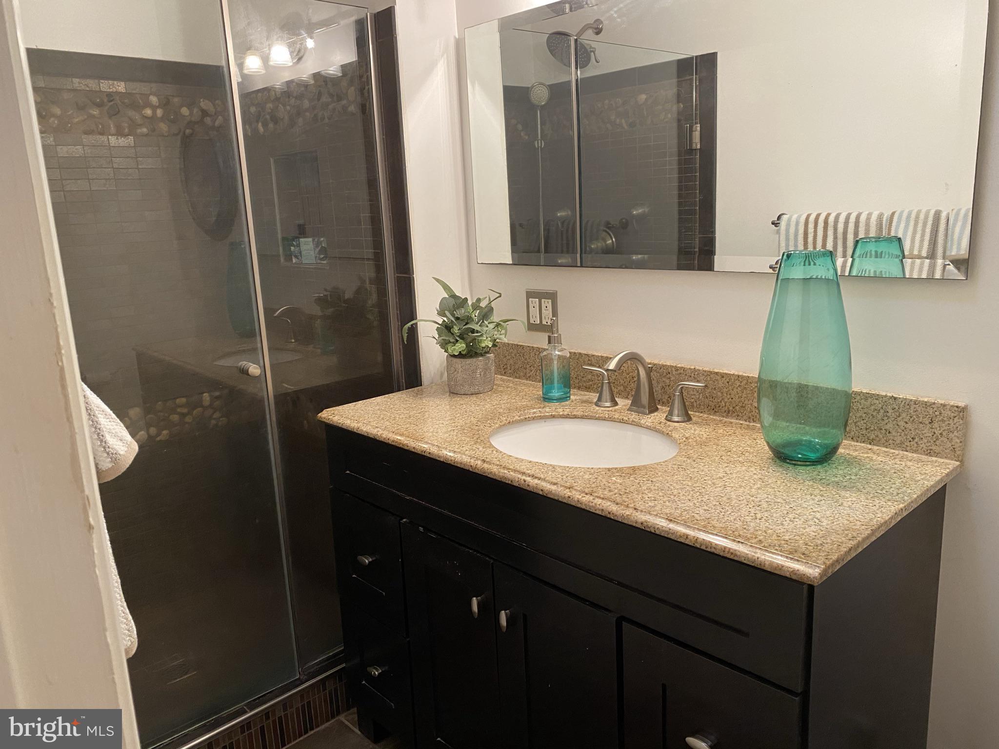 38 Severndale Road Severna Park, MD 21146 - Photo 13 of 20 Main bath