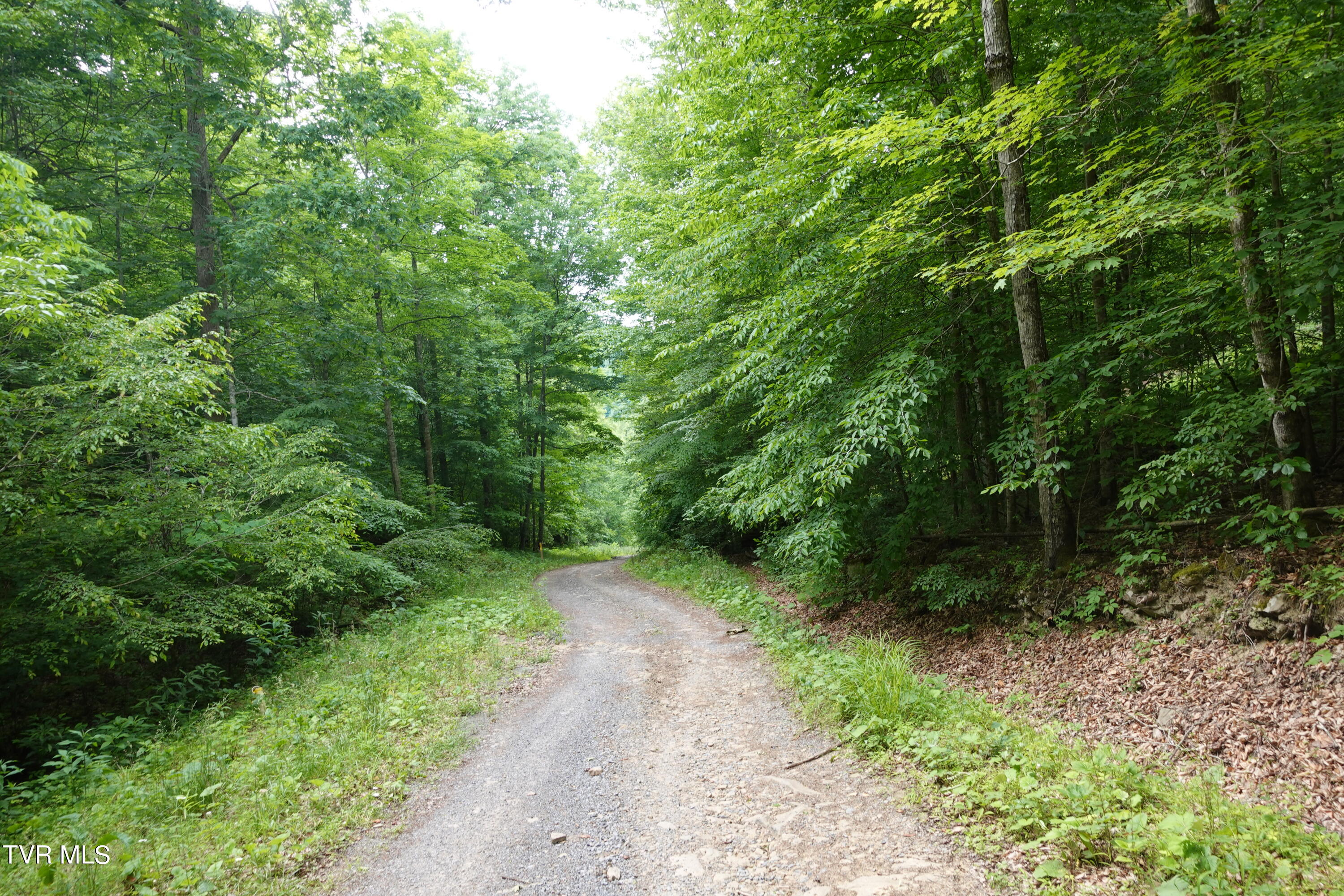 639 Dream Farm Road Birchleaf, VA 24220 - Photo 145 of 153 DSC00379