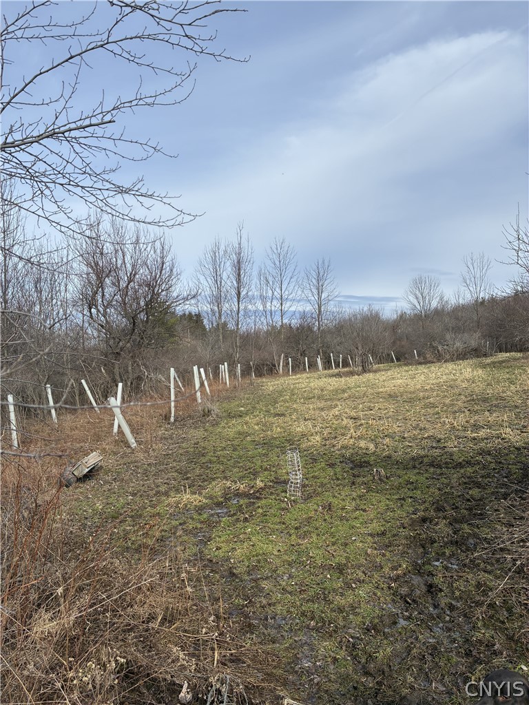 3390 Irish Hill Road Nelson, NY 13061 - Photo 48 of 48