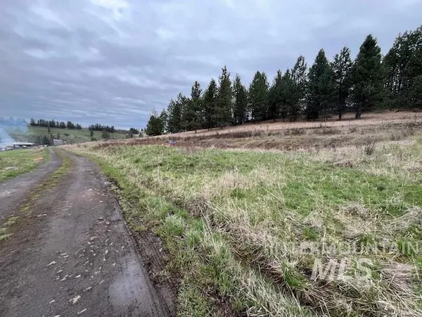 $287,500 | 281 Flying Elk Drive, Kamiah, ID 83536