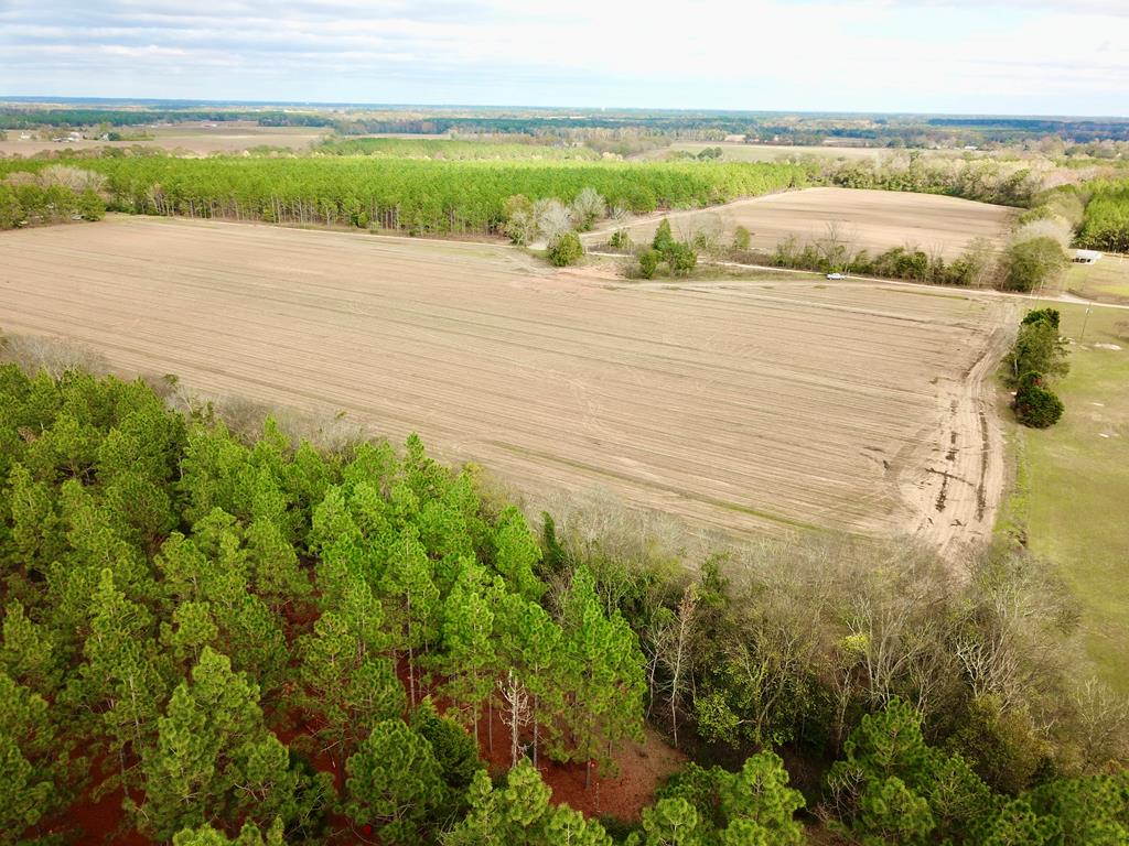 3.42-acres Summer Road Slocomb, AL 36375 - Photo 7 of 24