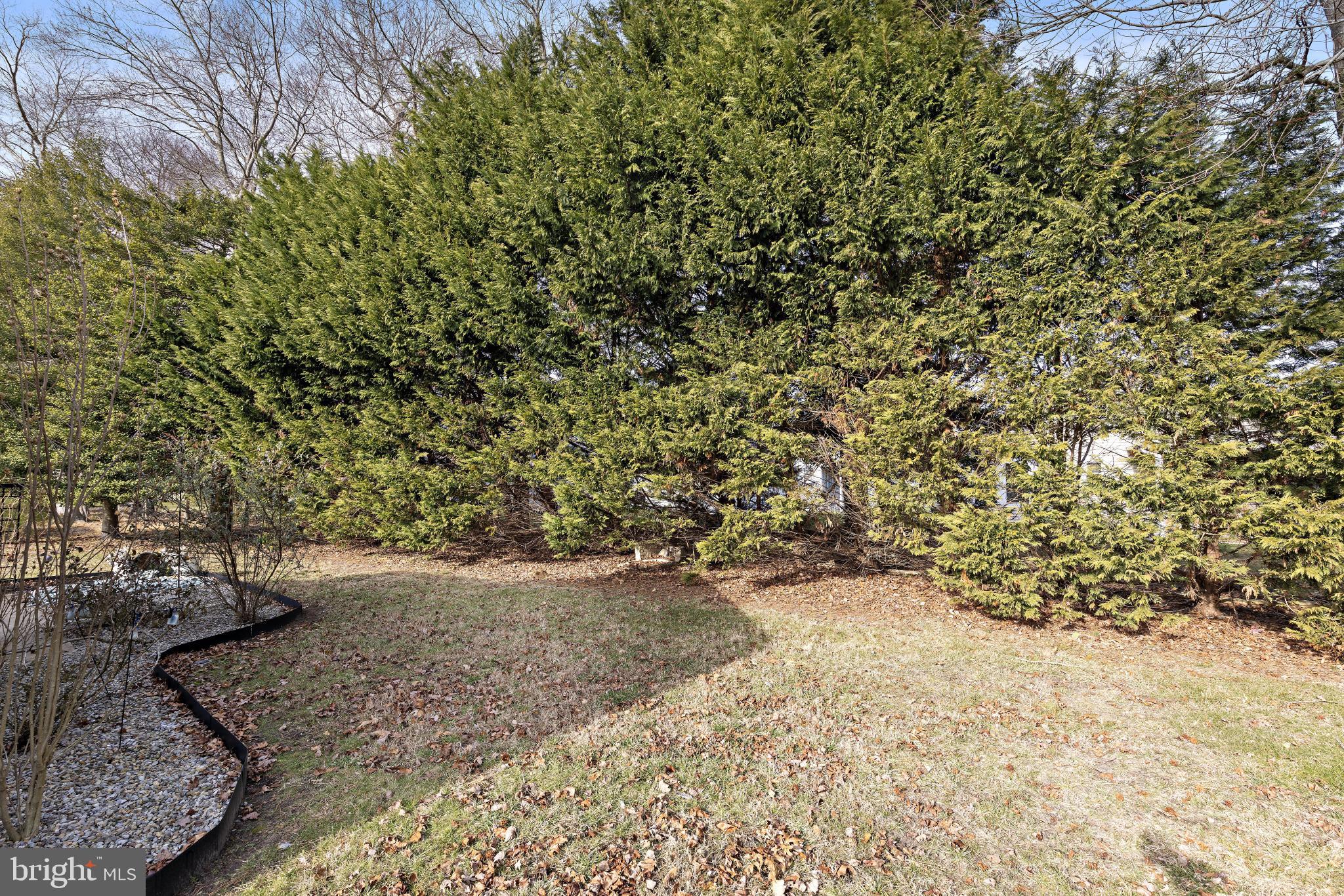 256 Valley Forge Drive Tuckerton, NJ 08087 - Photo 39 of 39