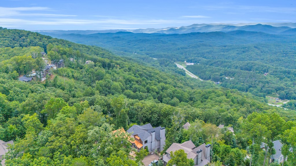 540 Overlook Drive Blue Ridge, GA 30513 - Photo 78 of 78 Gallery Image 78
