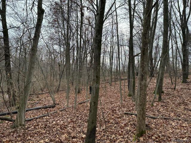 2.76 Perry Lake Road Ortonville, MI 48462 - Photo 2 of 8