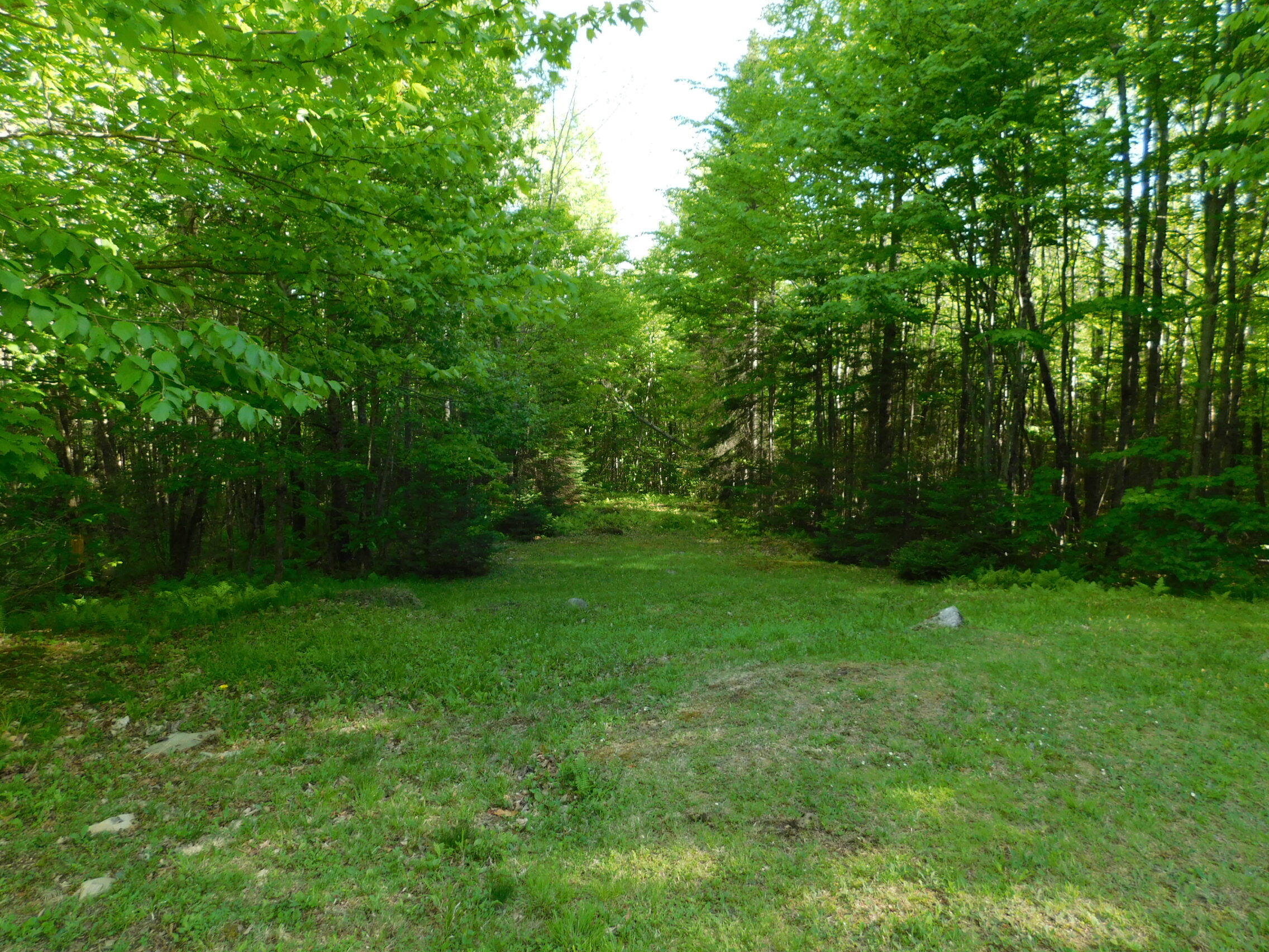 0 Lawrence Road Wellington, ME 04942 - Photo 12 of 25 DSCN3099