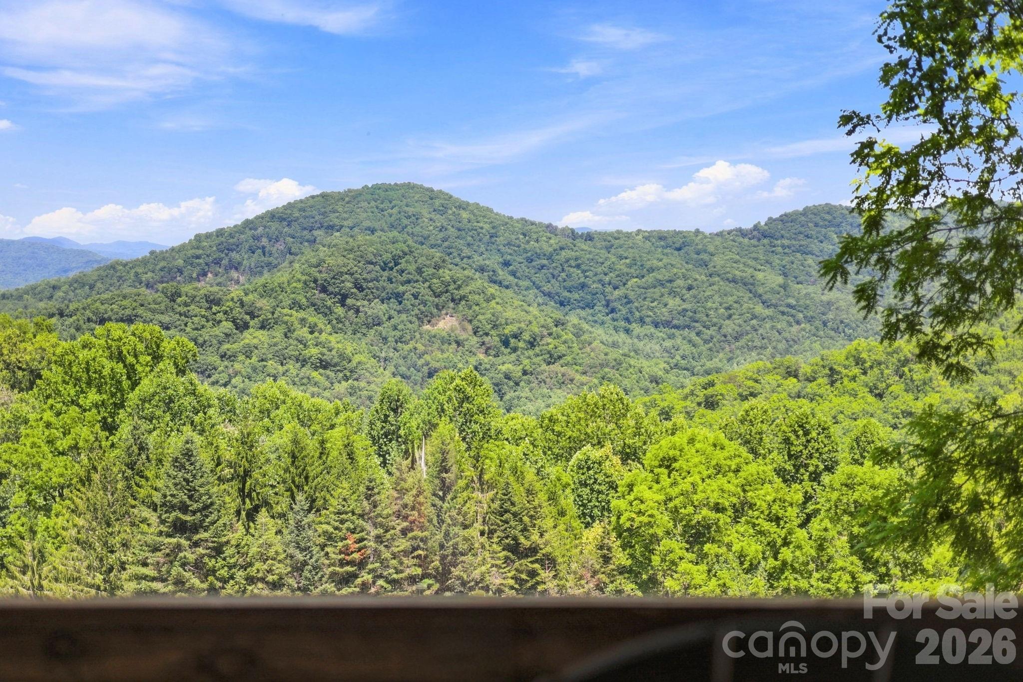 518 Nicholson Cove Road Cullowhee, NC 28723 - Photo 25 of 40 Gallery Image 25