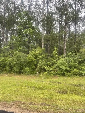 $22,500 | East Allen Drive, Ragley, LA 70657