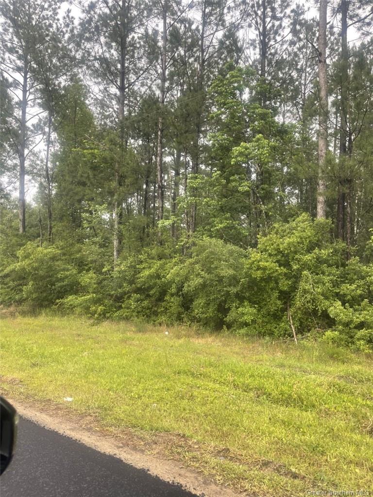 East Allen Drive Ragley, LA 70657 - Photo 2 of 2