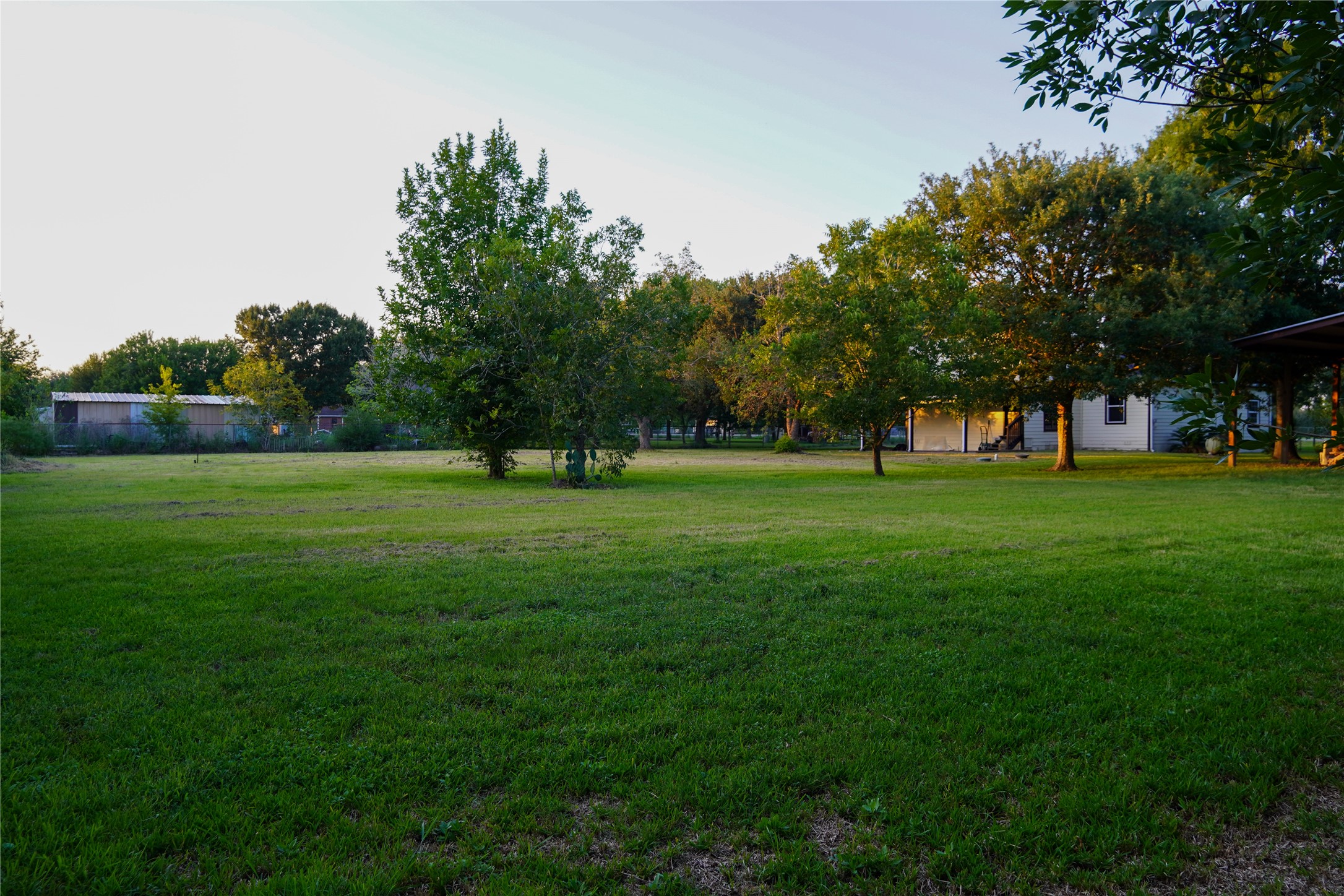 4622 Hill Side Lane Needville, TX 77461 - Photo 5 of 19 a view of grassy field with benches and trees all around