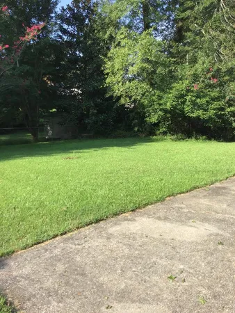 a view of a yard with a tree