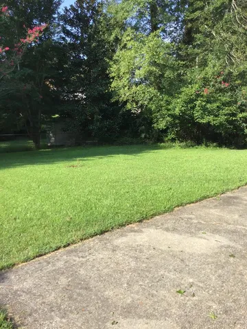 a view of a yard with a tree