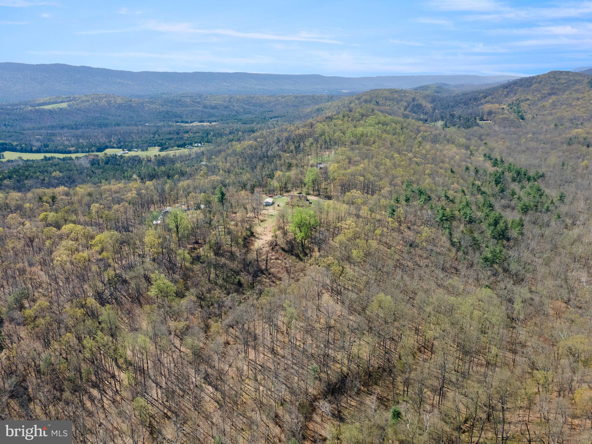 224 Oates Road Star Tannery, VA 22654 - Photo 45 of 49 16 acres w/ stream