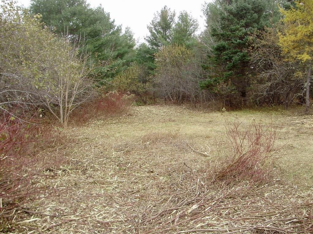 Lot 3-17 Tar Ridge Road Springfield, ME 04487 - Photo 6 of 6 Photo