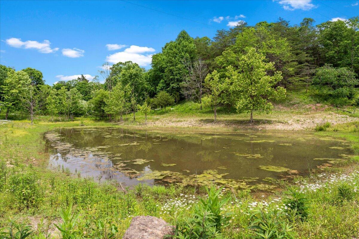 200 Old Log Lick Road Winchester, KY 40391 - Photo 72 of 89 72