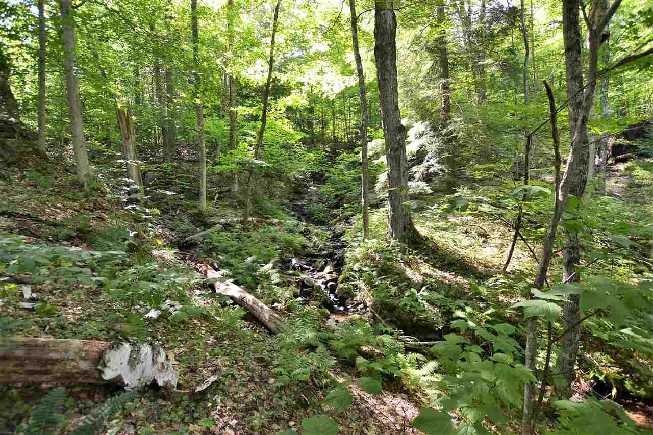 Lot 1 Berno Road, Unit LOT 1 Waterbury, VT 05676 - Photo 12 of 38 Gallery Image 12