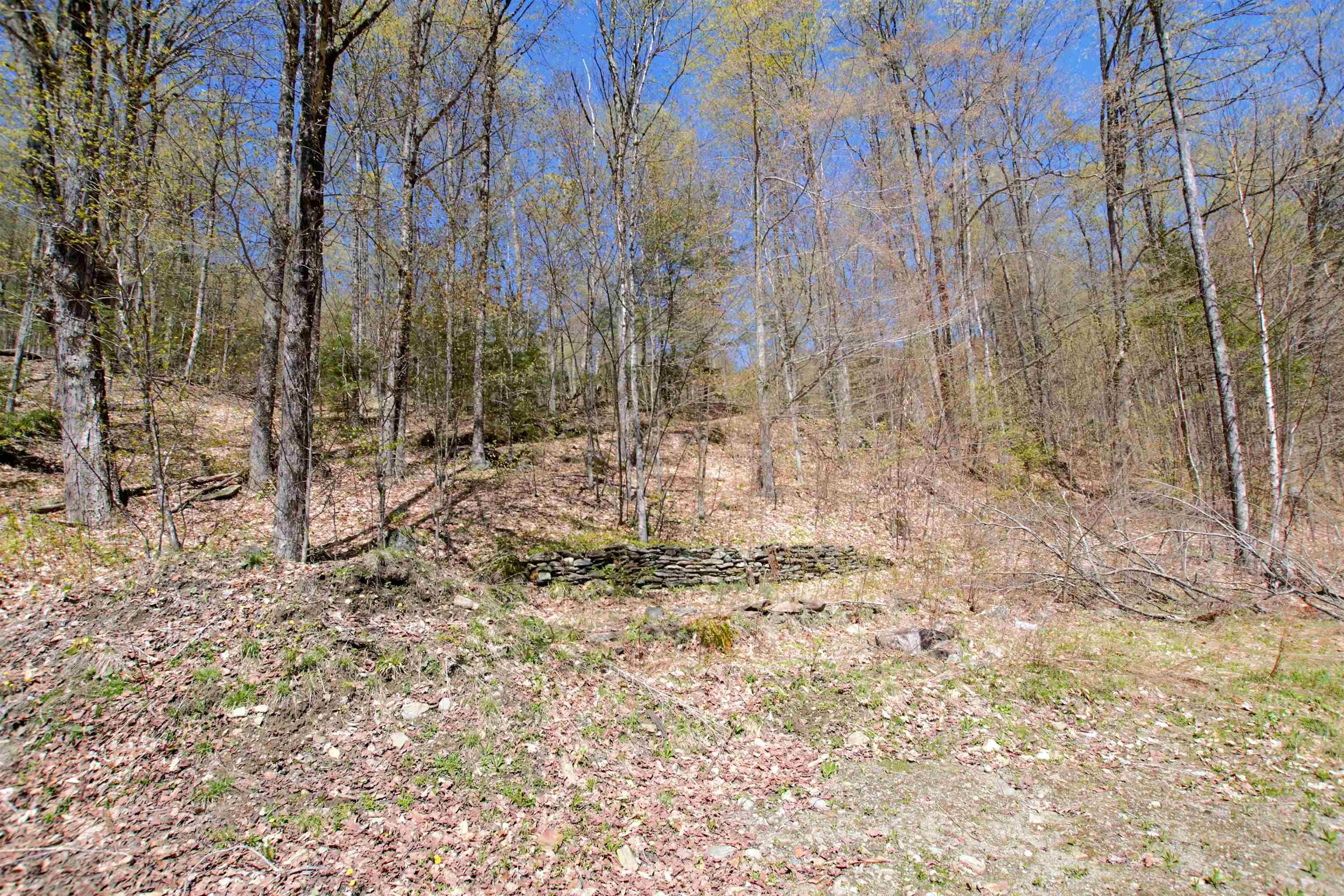 Lot 1 Berno Road, Unit LOT 1 Waterbury, VT 05676 - Photo 15 of 38 Gallery Image 15