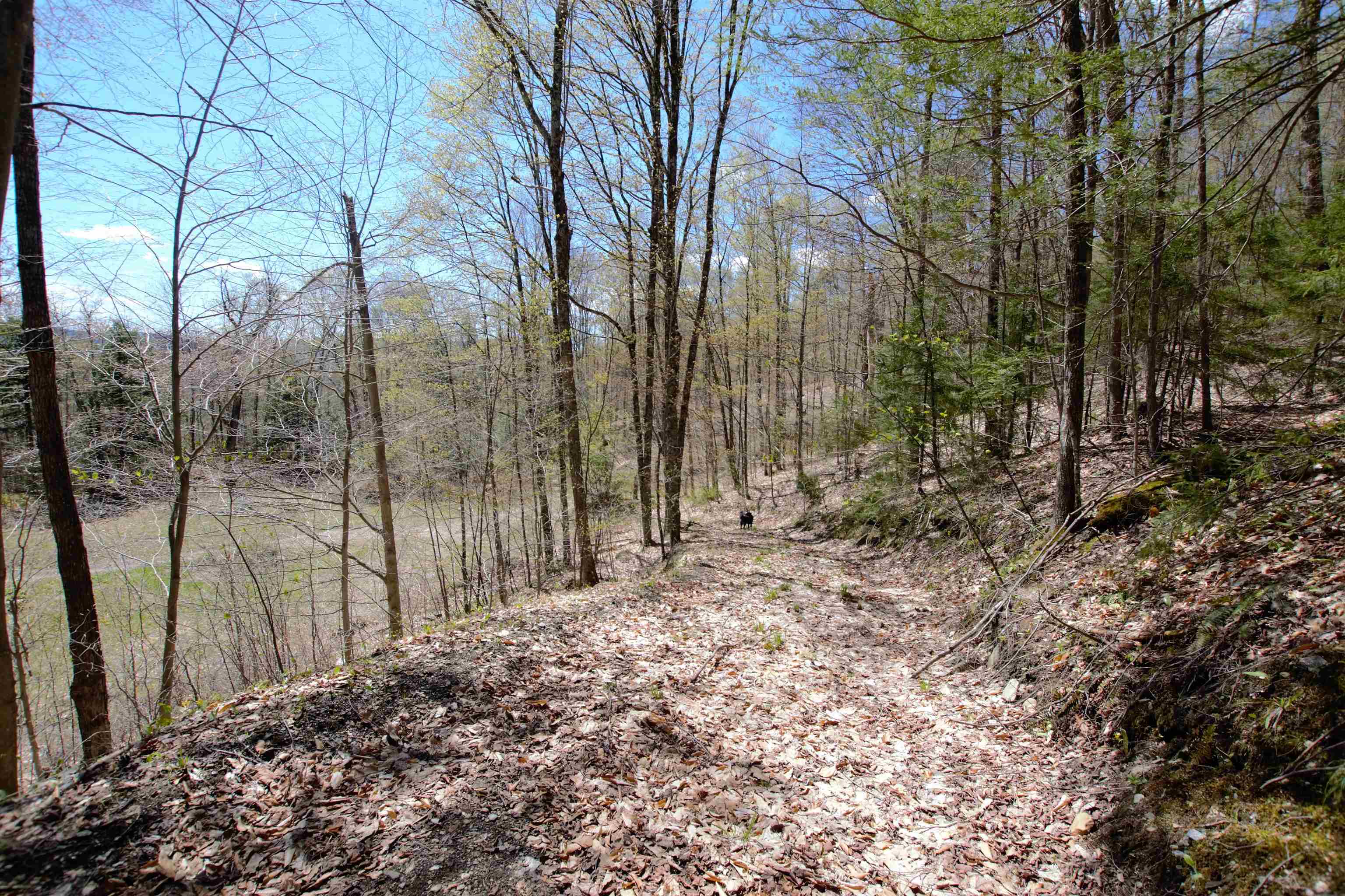 Lot 1 Berno Road, Unit LOT 1 Waterbury, VT 05676 - Photo 17 of 38 Gallery Image 17