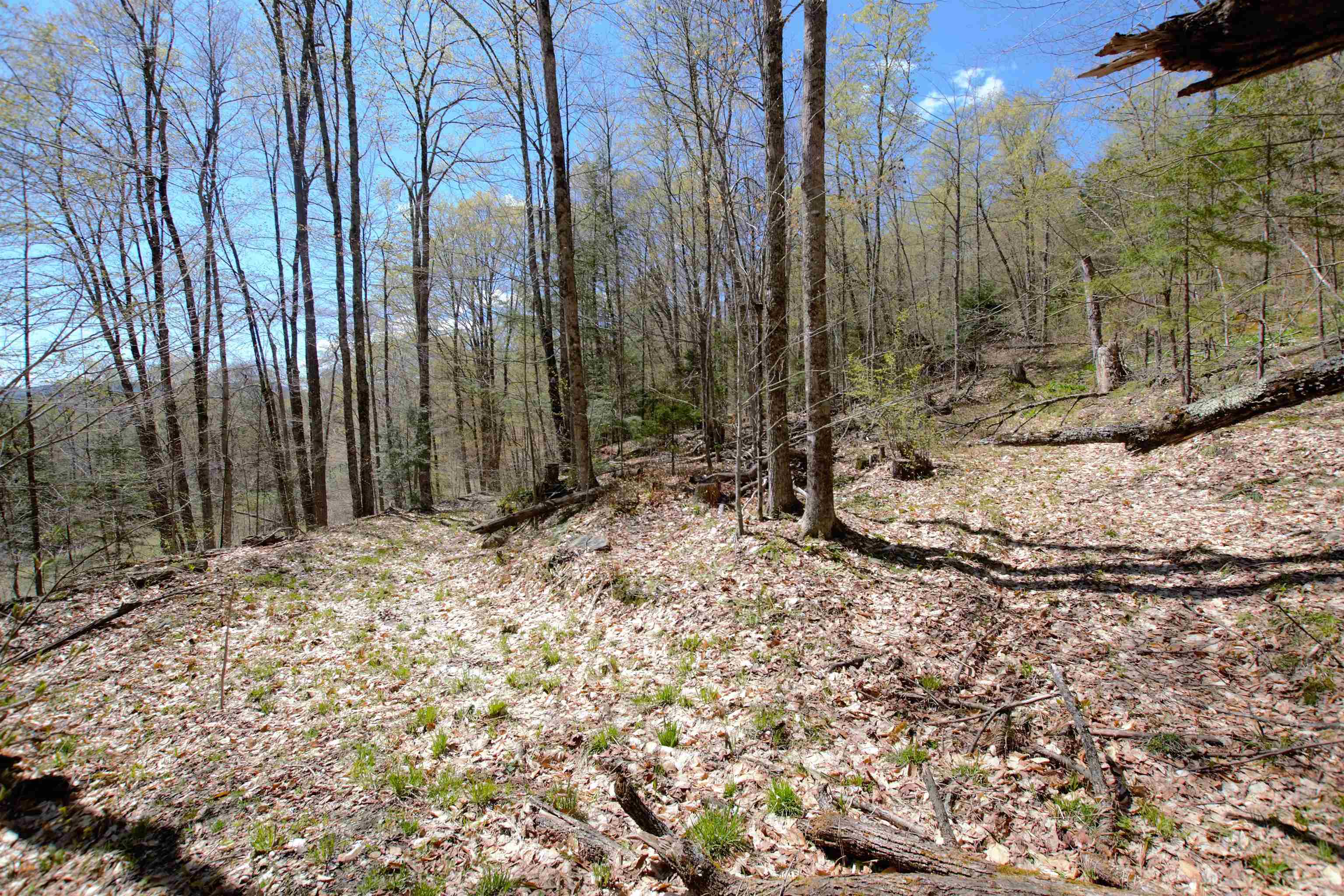 Lot 1 Berno Road, Unit LOT 1 Waterbury, VT 05676 - Photo 18 of 38 Gallery Image 18