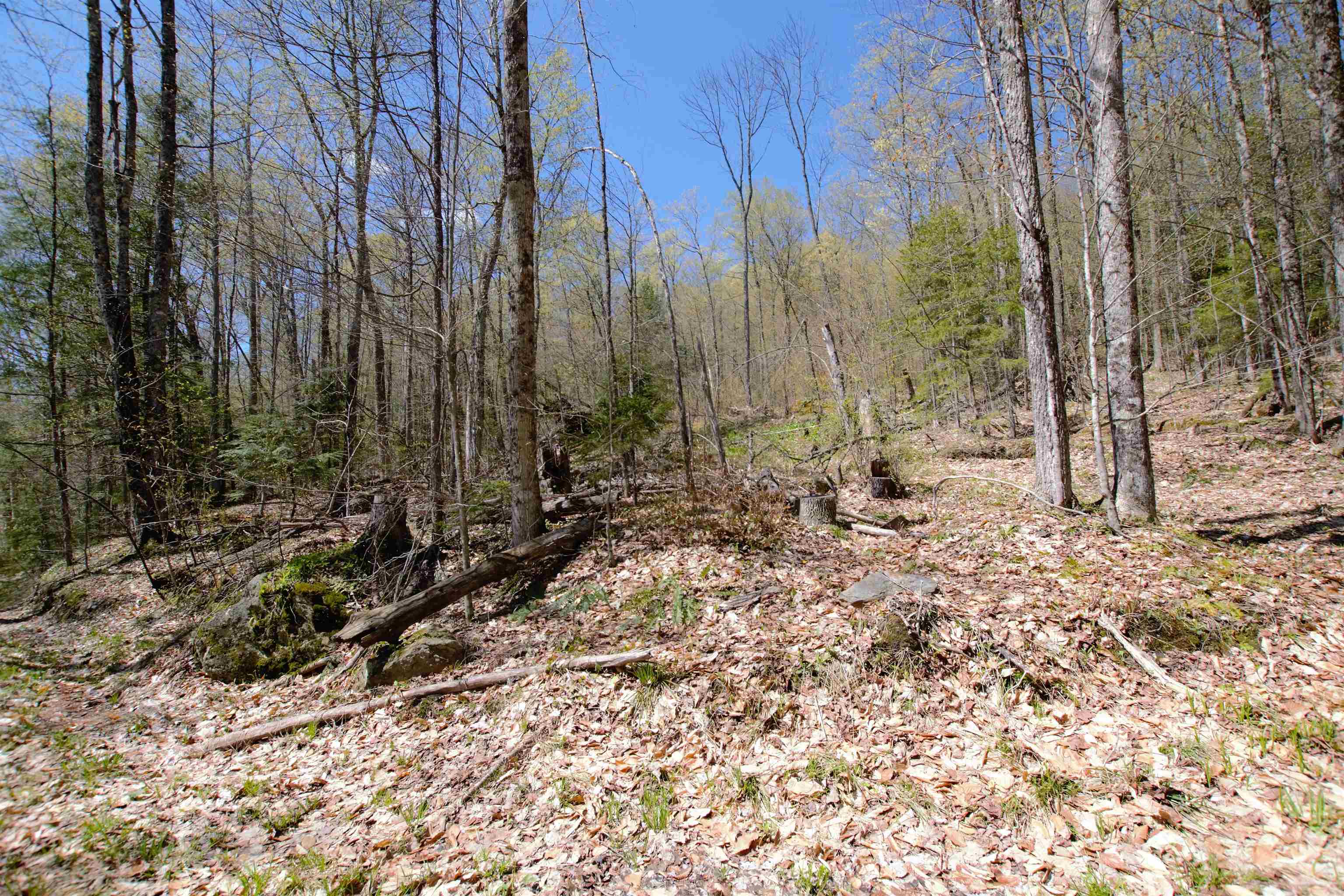 Lot 1 Berno Road, Unit LOT 1 Waterbury, VT 05676 - Photo 19 of 38 Gallery Image 19