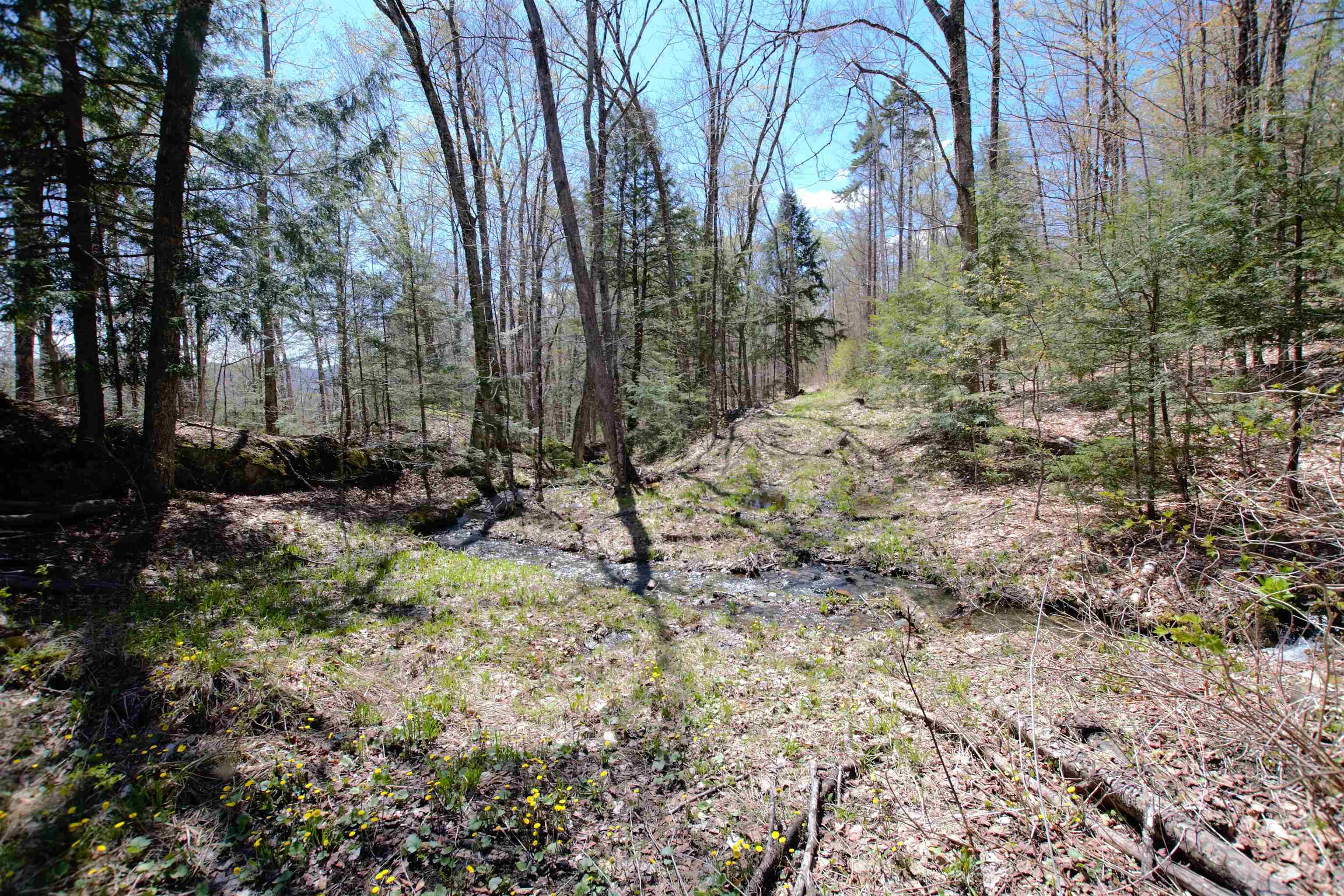 Lot 1 Berno Road, Unit LOT 1 Waterbury, VT 05676 - Photo 21 of 38 Gallery Image 21