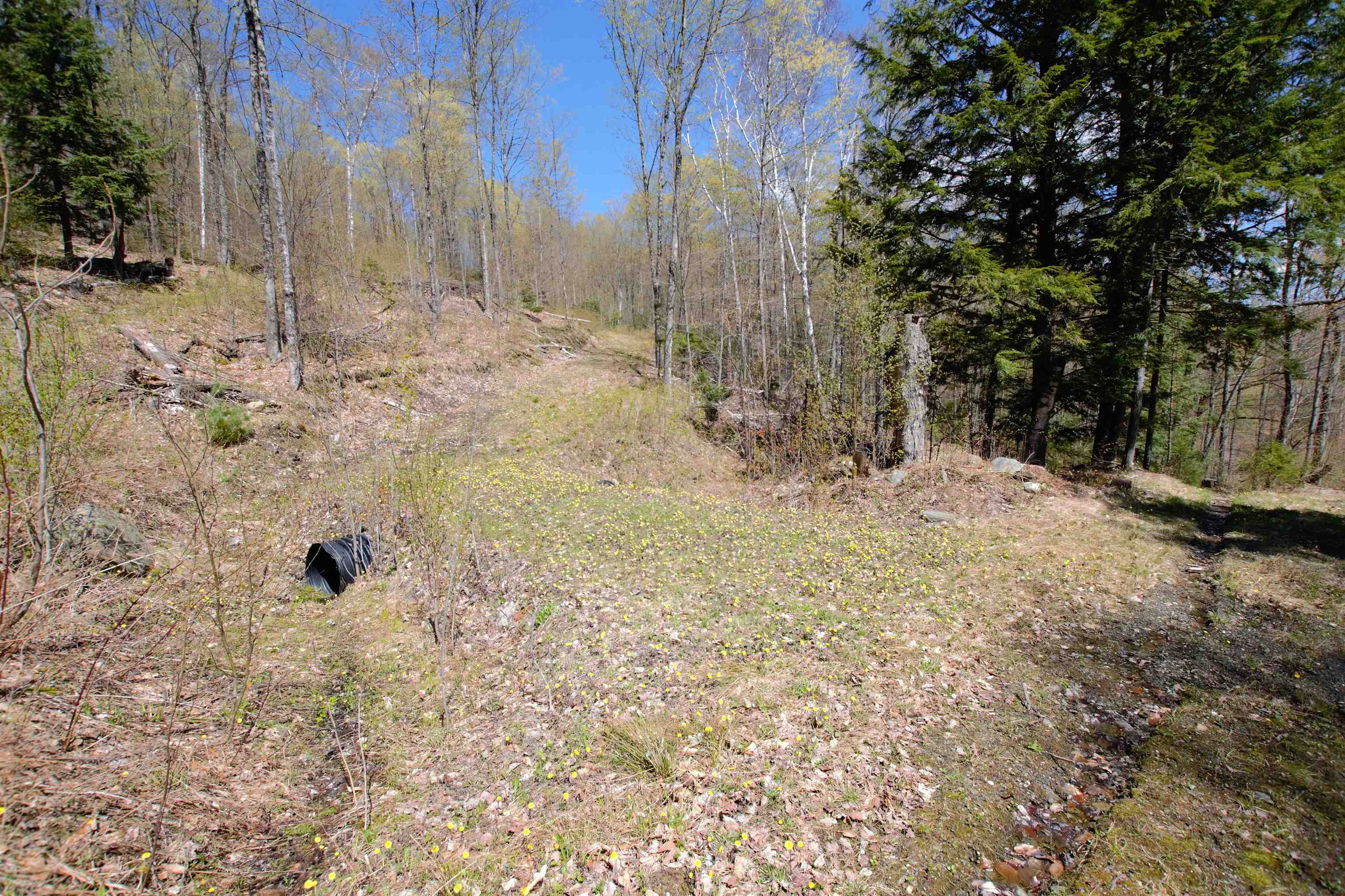 Lot 1 Berno Road, Unit LOT 1 Waterbury, VT 05676 - Photo 22 of 38 Gallery Image 22
