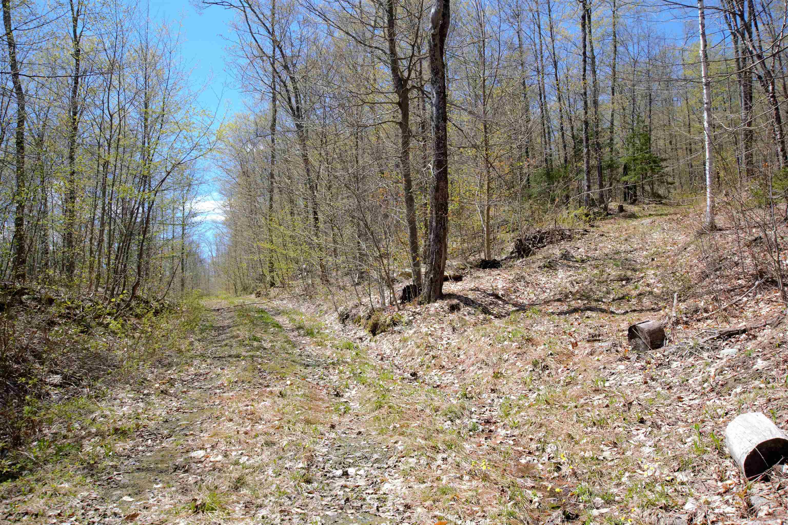 Lot 1 Berno Road, Unit LOT 1 Waterbury, VT 05676 - Photo 23 of 38 Gallery Image 23