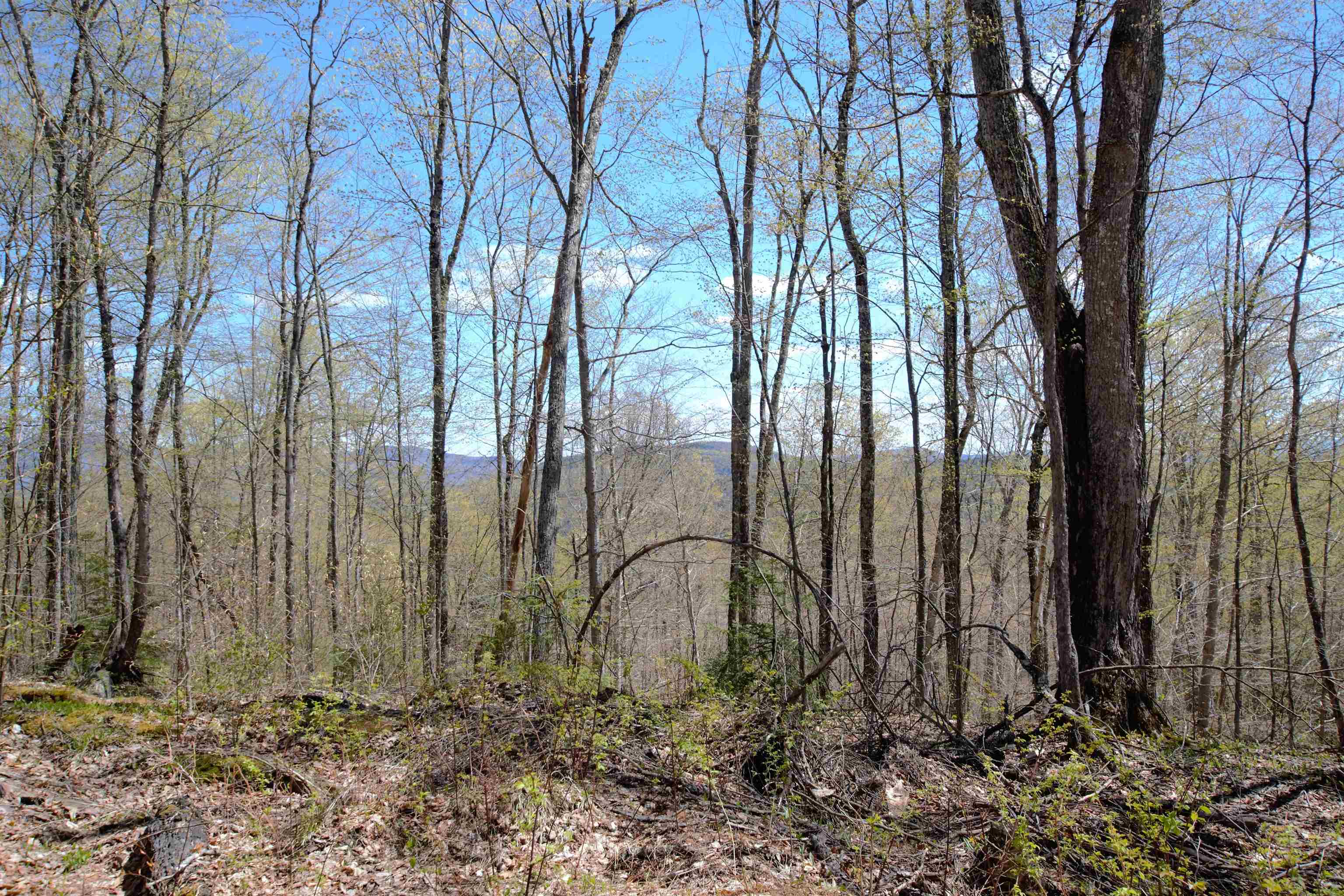 Lot 1 Berno Road, Unit LOT 1 Waterbury, VT 05676 - Photo 25 of 38 Gallery Image 25