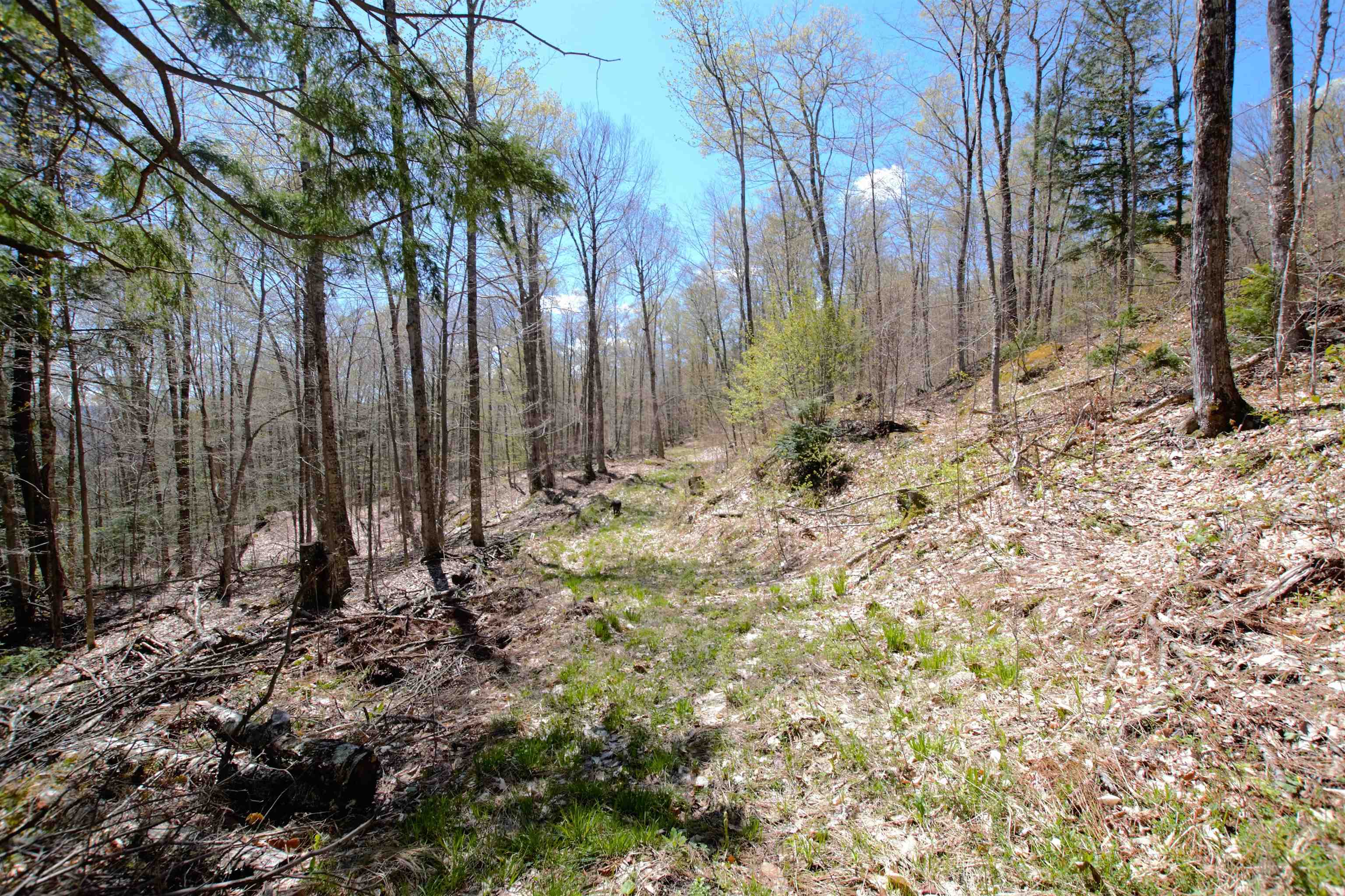 Lot 1 Berno Road, Unit LOT 1 Waterbury, VT 05676 - Photo 27 of 38 Gallery Image 27