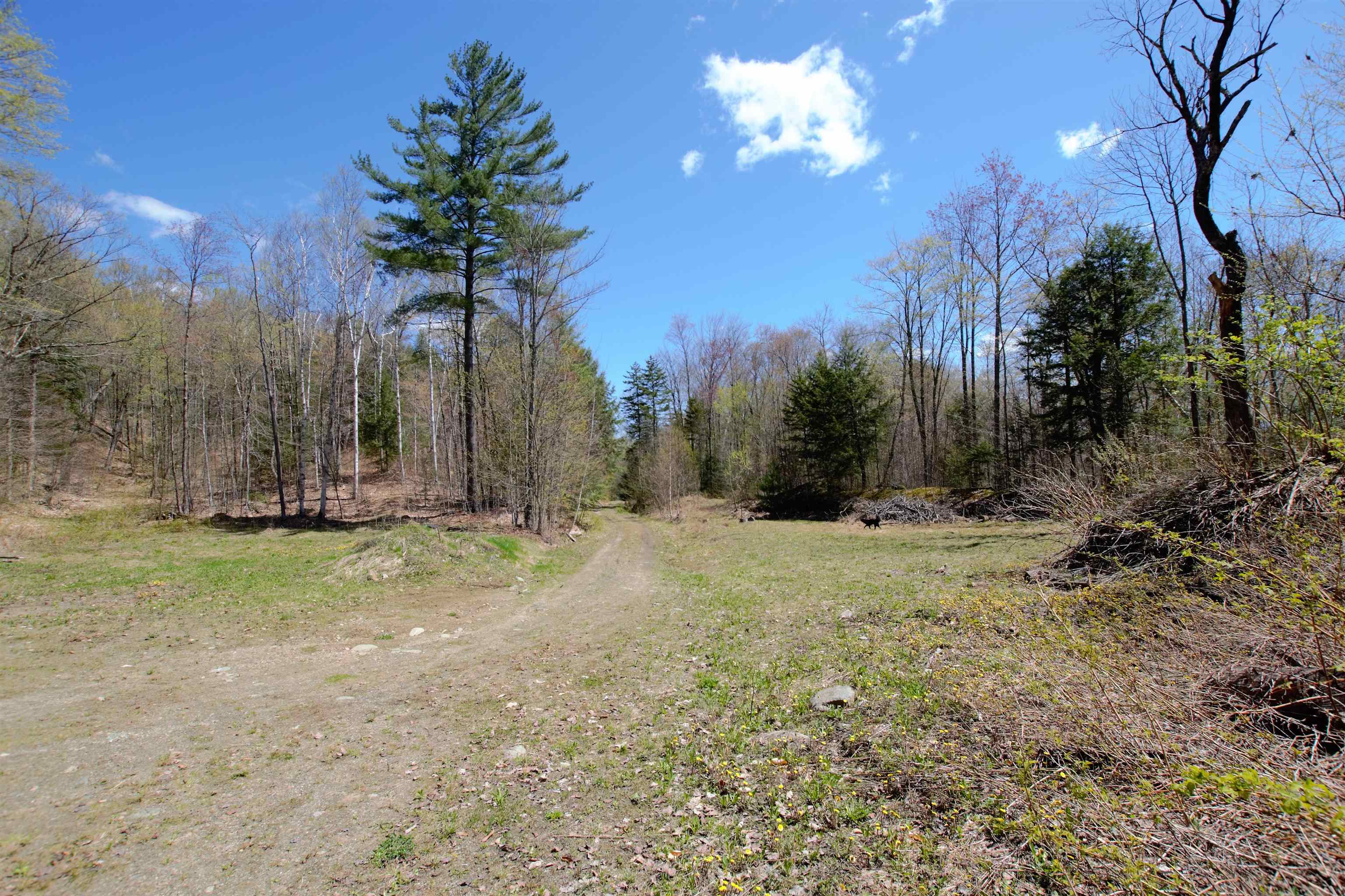 Lot 1 Berno Road, Unit LOT 1 Waterbury, VT 05676 - Photo 3 of 38 Gallery Image 3