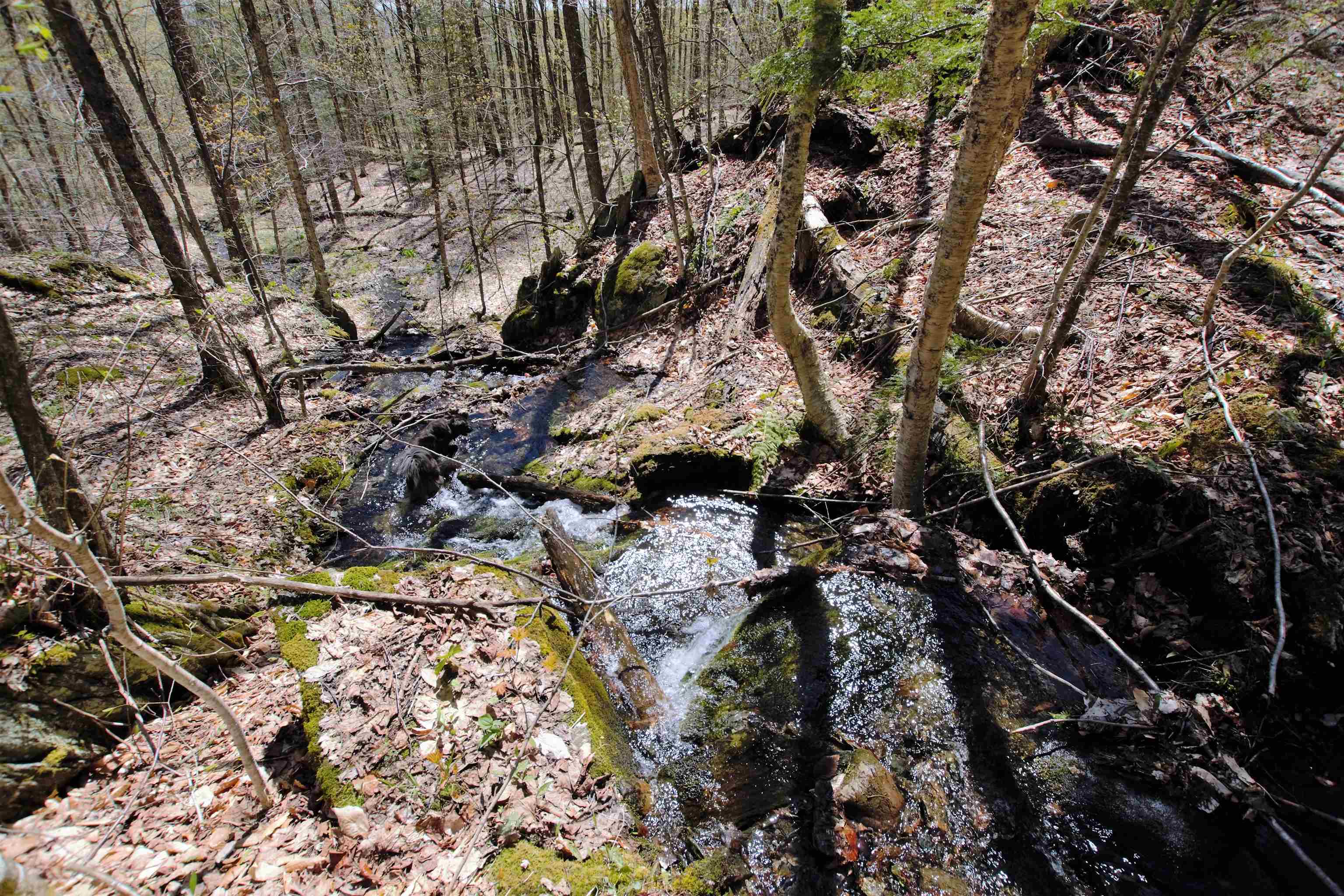 Lot 1 Berno Road, Unit LOT 1 Waterbury, VT 05676 - Photo 31 of 38 Gallery Image 31