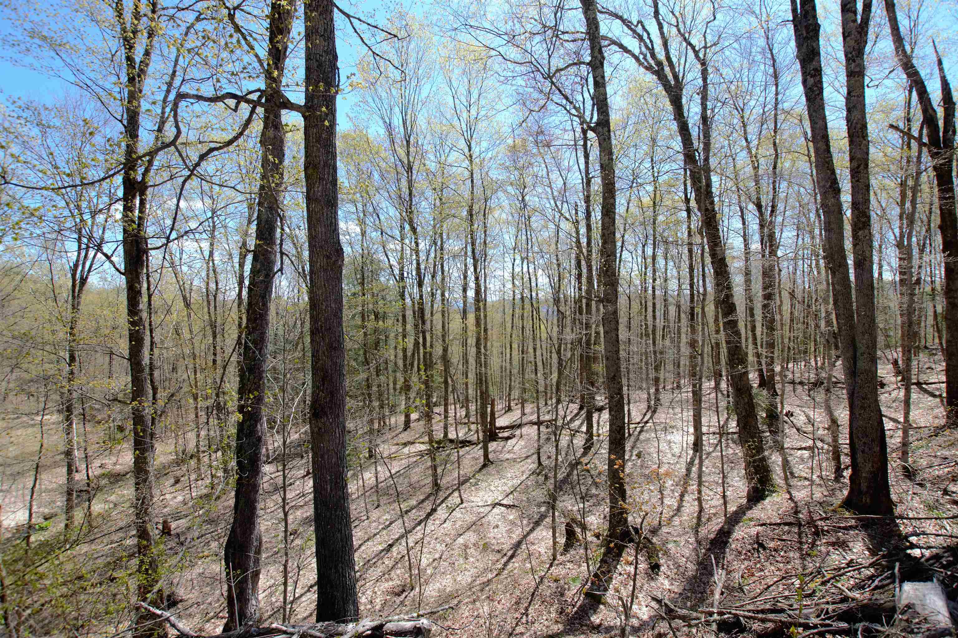 Lot 1 Berno Road, Unit LOT 1 Waterbury, VT 05676 - Photo 33 of 38 Gallery Image 33